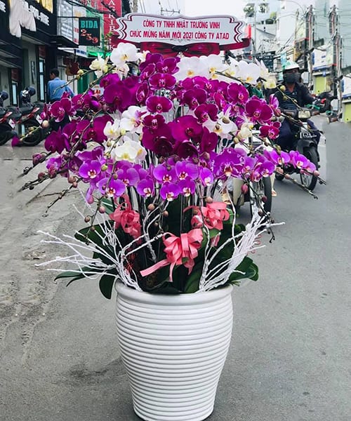 lan ho diep 25 canh   hd21