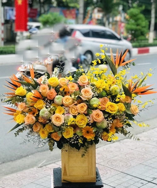 lang hoa gang ket ben nhau   sn030