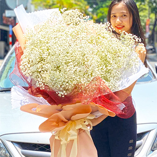 bo hoa baby siu to mau trang   bb59