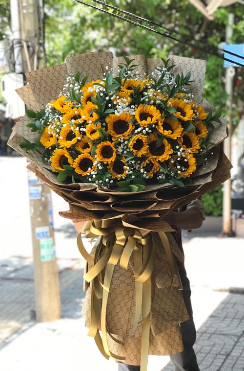 bo huong duong khung lo   hb242