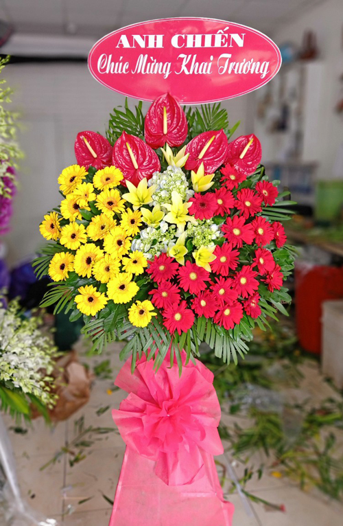 chuc mung khai truong   hkt116