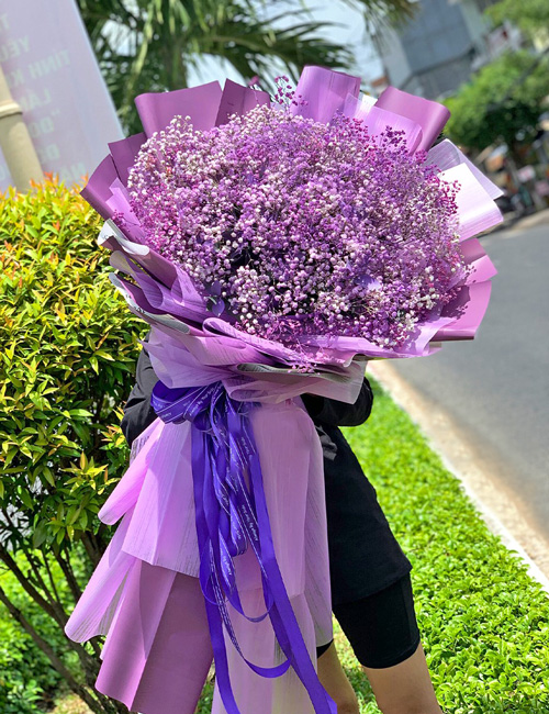 hoa baby mau tim dep nhap khau ha lan  hoa bo dai    bb26