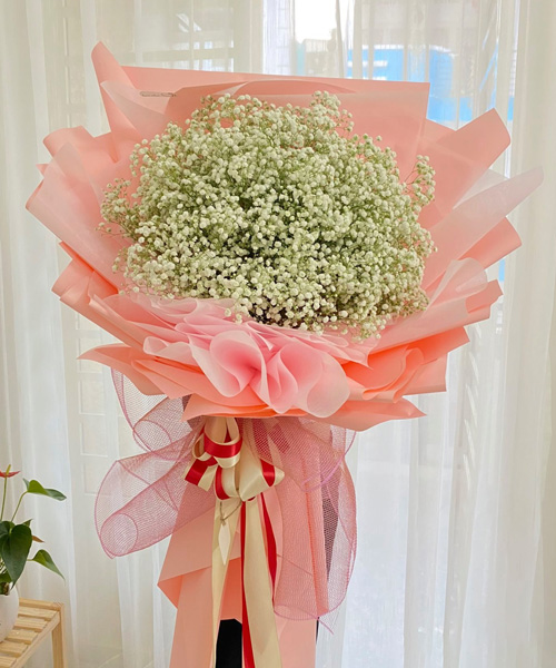 hoa baby mau hong dep nhap khau ha lan  hoa bo dai    bb36