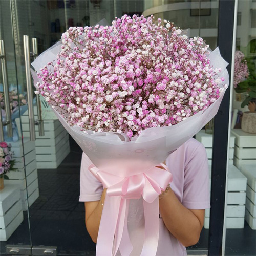 bo bi hong dep nhe nhang   bb38
