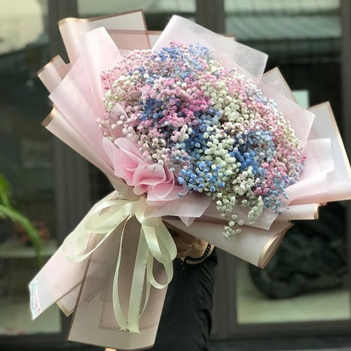 hoa baby nhieu mau mau hoa bo dai dep de lam hoa kho duoc   bb39