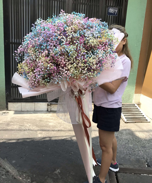 gia hoa baby nhieu mau mau bo duoi nhon dep va la nhat   bb7