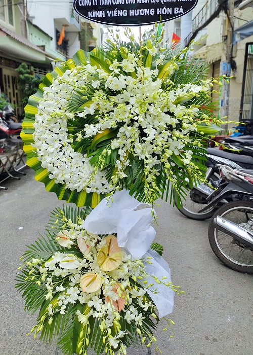 hoa chia buon dam tang   htl658
