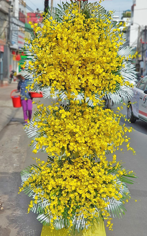 hoa chuc mung 3 tang mau vang   hkt158