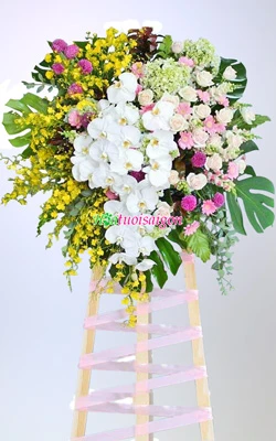 lang hoa tranh gia ve   hkt127
