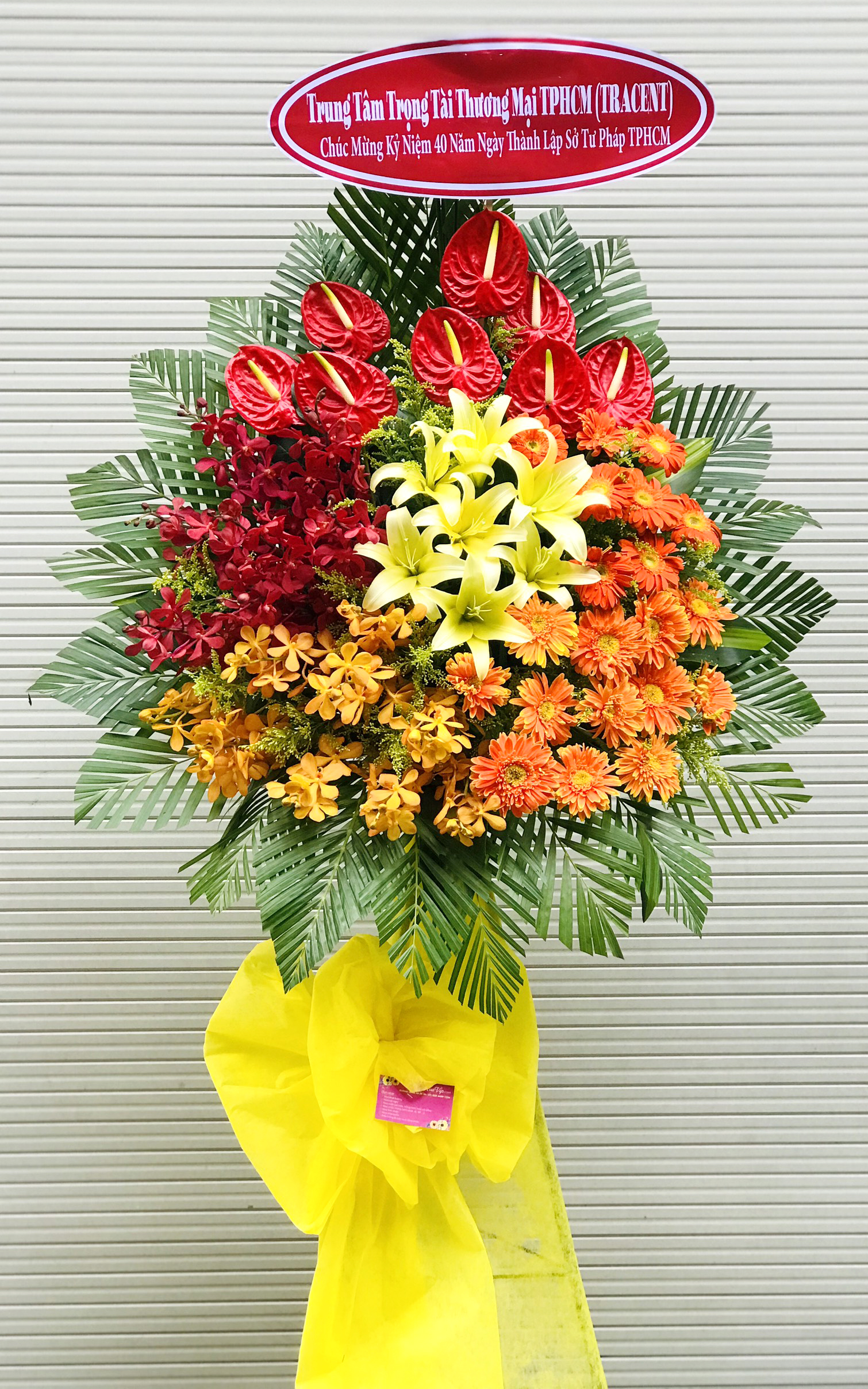 hoa khai truong cua hang   hkt330