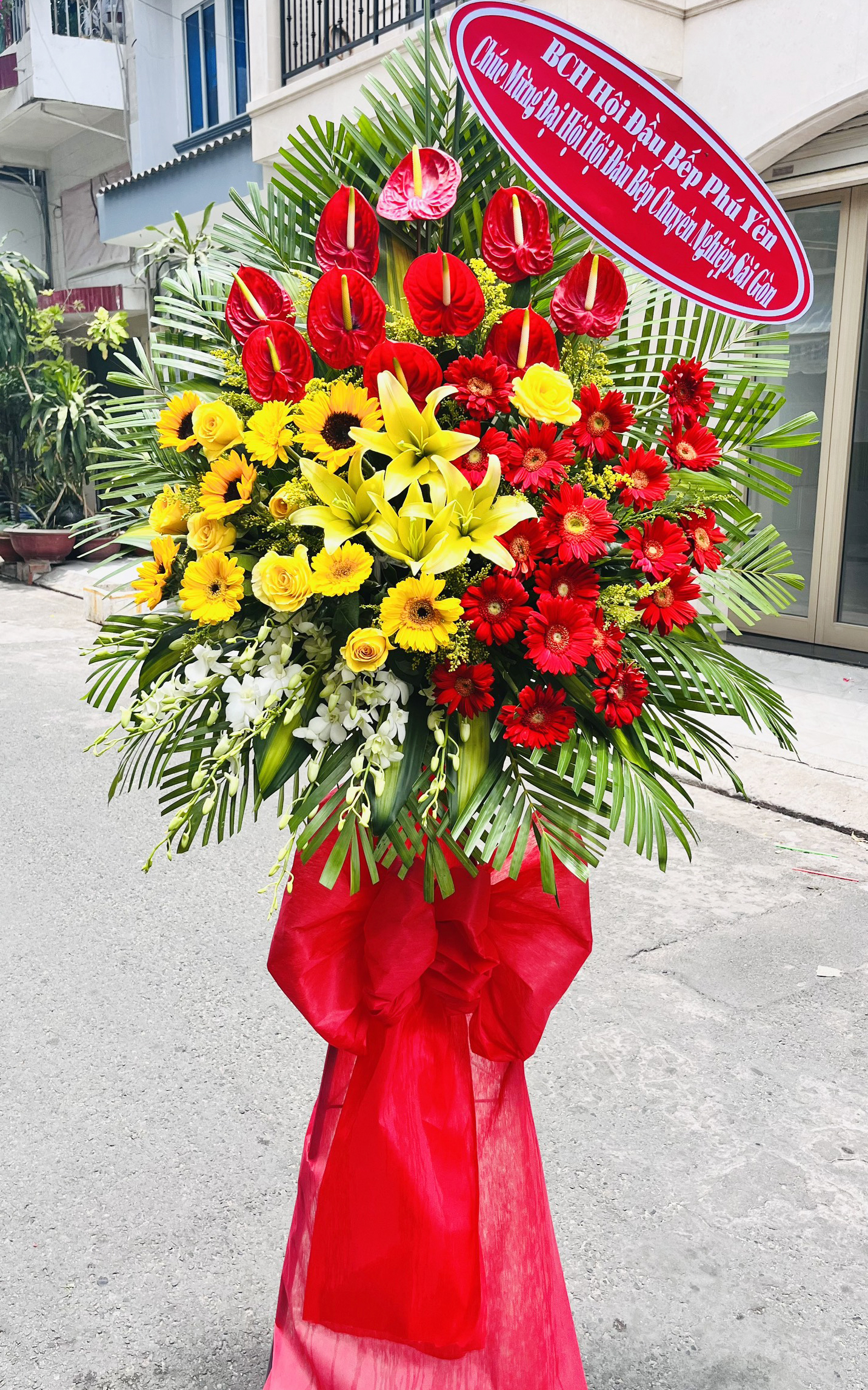 hoa khai truong gia re   hkt357