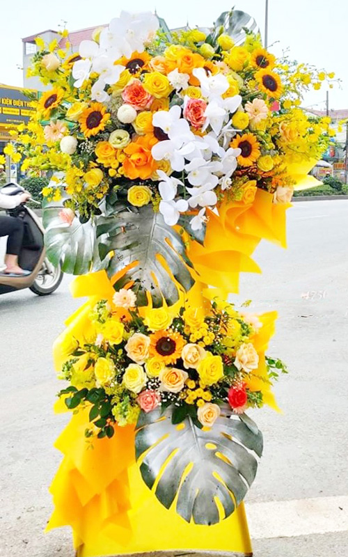 hoa khai truong hien dai   hkt105