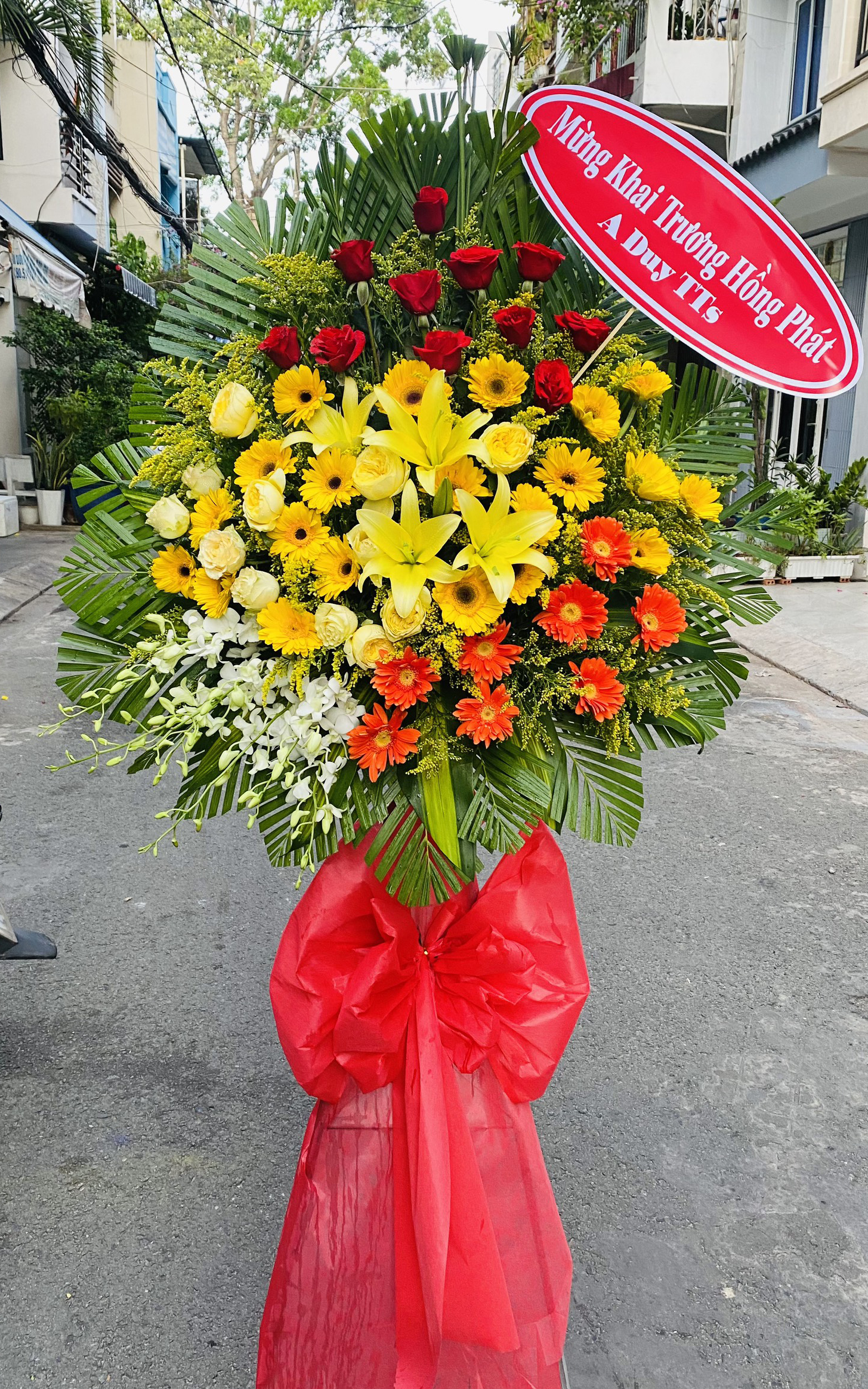 hoa mung khai truong dep   hkt386