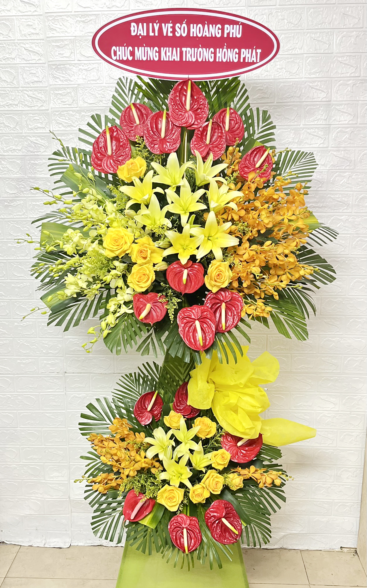 hoa mung khai truong   hkt283
