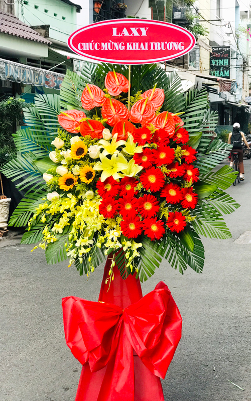 hoa mung khai truong   hkt333