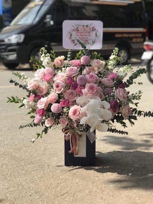 hoa sinh nhat mau hong nhap   sn105