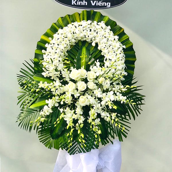hoa vieng   htl301