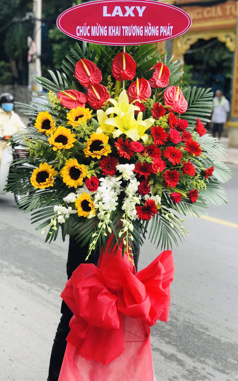 ke hoa mung khai truong   hkt374