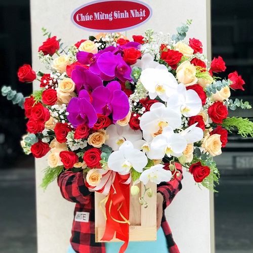 lang hoa dep tang sinh nhat   hl233