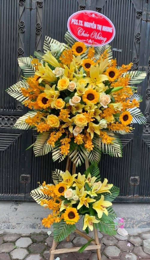 lang hoa khai truong tone vang 2 tang   hkt260