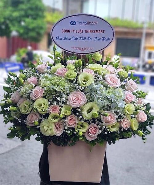 lang hoa sinh nhat   hl066